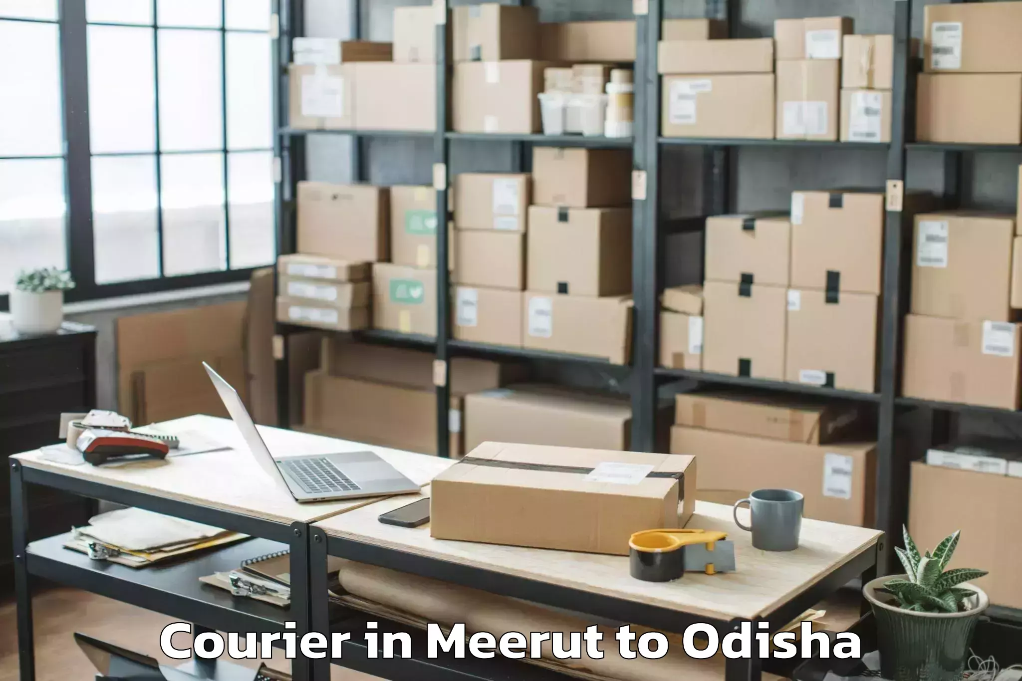 Affordable Meerut to Pattamundai Courier